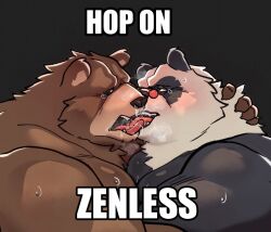 2boys animal_ears bara bear_boy bear_ears ben_bigger biceps black_fur blush brown_fur cocoronut commentary english_commentary english_text fangs french_kiss furry furry_male kiss looking_at_another male_focus multicolored_fur multiple_boys open_mouth pan_yinhu panda_boy panda_ears plump round_eyewear sweat sweatdrop tearing_up tongue tongue_out very_sweaty white_fur yaoi zenless_zone_zero