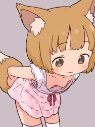 1girl :3 absurdres animal_ears bent_over blush breasts brown_eyes brown_hair collarbone fox_ears fox_girl fox_tail grey_background hanging_breasts highres irohiza loli looking_down original pink_skirt polka_dot polka_dot_skirt red_ribbon ribbon shirt short_hair skirt sleeveless sleeveless_shirt small_breasts smile standing tail thighhighs white_shirt white_thighhighs