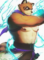 1boy animal_ears bara ceylanokku closed_mouth commentary cross_scar english_commentary fire fortnite furry furry_male green_fire hajime_(fortnite) highres holding holding_sword holding_weapon male_focus muscular muscular_male nipples pectorals purple_scarf raccoon_boy raccoon_ears raccoon_tail scar scar_across_eye scar_on_face scarf sword tail topless_male weapon white_background