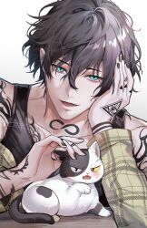 2boys akira_aishi animalization aqua_eyes black_hair black_tank_top cat heterochromia highres long_sleeves looking_at_viewer multiple_boys open_clothes open_mouth person_and_animalization sakura_haruka_(wind_breaker) short_hair smile tank_top tattoo white_background wind_breaker_(nii_satoru) yamato_endo