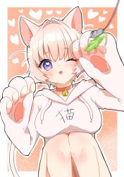 Rule 34 | 1girl, :3, animal ears, animal hands, bell, blue eyes, blush, breasts, cat ears, cat girl, cat paws, cat teaser, chacha kamimaru, gloves, heart, heart-shaped pupils, highres, hood, hoodie, kimi no koto ga dai dai dai dai daisuki na 100-nin no kanojo, large breasts, motion blur, neck bell, nekonari tama, one eye closed, open mouth, outline, paw gloves, pink background, symbol-shaped pupils, tongue, tongue out, white hair, white hoodie, white outline