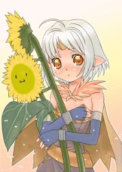 1girl :3 alchemist alchemist_(ragnarok_online) blue_gloves brown_background dark-skinned_female dark_skin female_focus flower gloves green_background okina_ika orange_eyes oversized_flower pointy_ears ragnarok_online short_hair silver_hair simple_background solo sunflower white_background