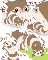 &gt;_&lt; :i blush closed_eyes commentary_request creatures_(company) furret game_freak gen_2_pokemon multiple_views nintendo no_humans open_mouth pokemon pokemon_(creature) simple_background sound_effects tl2zymo0jsu1lzi translation_request