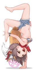 1girl :d absurdres animal_ear_fluff animal_ears barefoot batazungharn bikini bikini_under_clothes blue_archive blue_bikini blue_shorts breasts brown_hair commentary denim denim_shorts extra_ears fang flower fox_ears fox_girl fox_tail full_body hair_flower hair_ornament halo handstand highleg highleg_bikini highres izuna_(blue_archive) izuna_(swimsuit)_(blue_archive) micro_shorts navel official_alternate_costume one_arm_handstand open_fly open_mouth pink_halo psd_available red_scarf scarf short_hair shorts simple_background small_breasts smile solo striped_bikini striped_clothes swimsuit tail toes transparent_background upside-down yellow_eyes