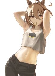 1girl agnes_tachyon_(umamusume) ahoge animal_ears arm_up black_pants brown_hair commentary cowboy_shot cropped_shirt earrings hair_tie_in_mouth highres horse_ears horse_girl jewelry looking_at_viewer medium_hair midriff mouth_hold navel o_ko_ge2024 pants red_eyes shirt sidelocks simple_background single_earring solo umamusume white_background white_shirt