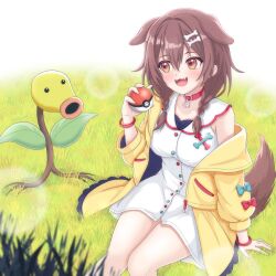 1girl a5hio absurdres bellsprout blush bone_hair_ornament braid brown_eyes brown_hair collar dog_tail dress fangs gen_1_pokemon grass hair_ornament highres holding holding_poke_ball hololive inugami_korone inugami_korone_(1st_costume) jacket looking_to_the_side medium_hair nintendo poke_ball poke_ball_(basic) pokemon pokemon_(creature) red_collar skin_fangs smile solo tail twin_braids virtual_youtuber white_dress yellow_jacket
