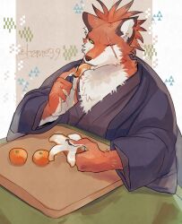 1boy aizawa_(nh_st) body_fur brown_background claws commentary eating food fruit furry furry_male haori highres japanese_clothes kimono male_focus one_eye_closed orange_(fruit) orange_peel original ponytail red_fur red_hair scar scar_across_eye scar_on_face short_hair solo symbol-only_commentary upper_body wolf_boy yellow_eyes