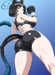 1girl absurdres animal_ears black_eyes black_hair black_shorts black_sports_bra blue_archive blue_background blue_halo boxing_gloves breasts cat_ears cat_girl cat_tail from_behind gradient_background halo highres kasana kikyou_(blue_archive) large_breasts looking_at_viewer looking_back multiple_tails short_hair shorts sports_bra tail