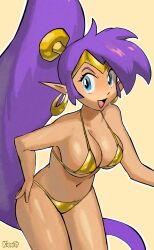 1girl bikini blue_eyes breasts dark-skinned_female dark_skin earrings gold_bikini jewelry kipnitt large_breasts long_hair open_mouth pointy_ears ponytail purple_hair shantae shantae_(series) swimsuit very_long_hair