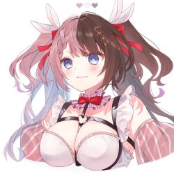 1girl blue_eyes blush bow bowtie breasts brown_hair chest_harness closed_mouth commentary cropped_torso hair_ribbon harness hashtag-only_commentary heart highres large_breasts long_hair multicolored_hair okome_(omc_0905) pink_hair red_bow red_bowtie red_ribbon ribbon simple_background solo split-color_hair tachibana_hinano tachibana_hinano_(vspo!_summer_2024) two-tone_hair virtual_youtuber vspo! white_background