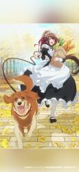 Rule 34 | 1girl, 1other, absurdres, amagi (oreaku), animal collar, anime coloring, apron, bag, black dress, blush, bow, bread, breasts, brooch, brown hair, collar, dog, dress, falling leaves, food, frilled apron, frilled dress, frills, full body, ginkgo leaf, ginkgo tree, groceries, grocery bag, hair ribbon, high ponytail, highres, holding, holding bag, holding leash, jewelry, large breasts, leaf, leash, long hair, looking at viewer, maid, maid apron, maid headdress, mary janes, morimae kazuya, open mouth, ore wa seikan kokka no akutoku ryoushu!, outdoors, paper bag, ponytail, puffy sleeves, red bow, red collar, red eyes, ribbon, running, shoes, shopping bag, smile, socks, spring onion, tail, tail wagging, tented shirt, tree, very long hair, waist apron, white apron, white socks