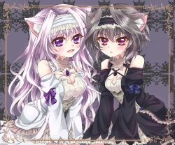 Rule 34 | 2girls, 9-nine-, :d, adapted costume, amaha miu, animal ear fluff, animal ears, arm support, bare shoulders, black dress, black hair, black hairband, blue bow, blush, bow, breasts, cat day, cat ears, cat girl, cleavage, cleavage cutout, clothing cutout, commentary request, company connection, cowboy shot, criss-cross halter, crossover, detached sleeves, dress, dress bow, eyelashes, eyes visible through hair, frilled dress, frilled hairband, frilled sleeves, frills, gothic lolita, grey background, hair between eyes, hair intakes, hairband, halterneck, juliet sleeves, kemonomimi mode, large breasts, leaning forward, lolita fashion, lolita hairband, long hair, long sleeves, looking at viewer, mashiroiro symphony, moge panda, multiple girls, open mouth, palette (company), parted lips, puffy sleeves, purple bow, purple eyes, purple hair, red eyes, short hair with long locks, sidelocks, simple background, sitting, sleeve bow, sleeveless, sleeveless dress, small breasts, smile, v-shaped eyebrows, very long hair, white dress, white hairband, wide sleeves, yuuki noa