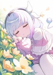 Rule 34 | 1girl, black bow, blunt bangs, bow, bug, butterfly, closed eyes, dragon horns, dutch angle, eyebrows hidden by hair, floral background, flower, frilled sleeves, frills, gradient hair, grass, hair ornament, hairband, head on hands, head rest, highres, horns, insect, kanna kamui, knees up, kobayashi-san chi no maidragon, long hair, long sleeves, lying, multicolored hair, on grass, on side, pantyhose, puffy sleeves, sidelocks, signature, sleeping, sleeves past wrists, solo, sunlight, tail, two-tone shirt, wagashi928, white hair, white pantyhose