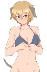 1girl animal_ears blush bra brave_witches breasts brown_eyes brown_hair collarbone dog_ears dog_girl dog_tail looking_at_viewer medium_breasts navel no_panties short_hair simple_background solo standing tail tanaka_rikimaru underwear waltrud_krupinski white_background world_witches_series