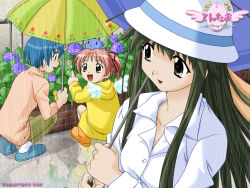 3girls ankle_socks aqua_eyes aqua_hair aqua_shoes archived_source blue_umbrella boots bucket_hat buttons coat collar collared_shirt collared_sweater company_name copyright_name detached_wings dress_shirt egg english_text fence floral_print_umbrella flower full_body green_eyes green_hair green_pants green_umbrella hat holding holding_umbrella hood hood_down hooded_coat horizontal-striped_umbrella iron_fence karin_(tentama) kindle_imagine_develop kodaka_mao koshimizu_takayuki lavender_(flower) logo long_hair long_sidelocks long_sleeves looking_at_viewer multiple_girls nanase_yuka official_art official_wallpaper open_mouth orange_boots outdoors pants pink_collar pink_eyes pink_hair pink_sleeves pink_sweater plant purple_flower rain raincoat red_flower red_tulip reflection reflective_water rubber_boots second-party_source shirt shoes short_hair sidelocks sleeve_cuffs snail socks straight_hair striped_umbrella sweater tentama tentama:_1st_sunny_side three-quarter_sleeves title tulip turtleneck turtleneck_sweater two-tone_umbrella umbrella upper_body white_collar white_hat white_sleeve_cuffs white_sleeves white_socks white_wings wings yashiro_shizuka yellow_coat yellow_hood yellow_sleeve_cuffs yellow_umbrella