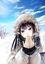 1girl absurdres bare_tree beanie black_eyes black_hair black_sweater blunt_bangs day down_jacket footprints fur-trimmed_headwear fur_trim green_scarf grey_scarf hands_up hat head_tilt highres jacket long_hair long_sleeves looking_at_viewer multicolored_scarf nageia_02 open_mouth original outdoors pom_pom_(clothes) pom_pom_beanie scarf snow solo sweater tree upper_body warming_hands white_jacket winter