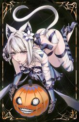 1girl animal_ear_fluff animal_ears ass bandaged_leg bandaged_neck bandages braid braided_hair_rings breasts cat_ears cat_tail cross-laced_clothes cross-laced_panties emil_(nier) flower frilled_gloves frills gloves grey_eyes grey_hair hair_flower hair_ornament hair_rings high_heels highres kaine_(nier) large_breasts lingerie long_eyelashes nier nier_(series) panties pumpkin solo tail underwear yubuki_i