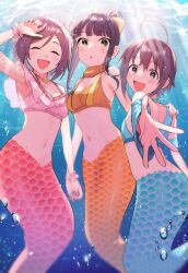 Rule 34 | 3girls, air bubble, atarayoduki (idolmaster), brown eyes, brown hair, bubble, dappled sunlight, domyoji karin, green eyes, hamaguchi ayame, happy, highres, holding hands, idolmaster, idolmaster cinderella girls, looking at viewer, mermaid, midriff, monster girl, multiple girls, navel, open mouth, reaching, reaching towards viewer, scales, sunlight, toyosaka, underwater, wakiyama tamami