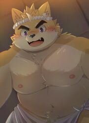 1boy absurdres animal_ears bara blush dog_ears fangs fat furry furry_male highres indoors large_pectorals looking_ahead male_focus musashi_(tamacolle) open_mouth pectorals purple_eyes solo tamacolle thick_eyebrows towel towel_around_waist zuboboz