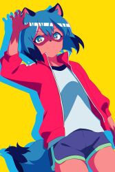 1girl animal_ear_fluff animal_ears arm_at_side arm_up black_hair blizzard_(b1iz4rd) blue_hair blue_shorts blue_trim blush bob_cut body_fur brand_new_animal breasts claws closed_mouth commentary cowboy_shot curled_fingers dark-skinned_female dark_skin dolphin_shorts drop_shadow dutch_angle english_commentary fingernails full_body furry furry_female green_eyes green_trim hair_between_eyes hand_up highres jacket kagemori_michiru long_sleeves looking_at_viewer multicolored_eyes multicolored_hair open_clothes open_jacket popped_collar raccoon_ears raccoon_girl raccoon_nose raccoon_tail red_eyes red_jacket romaji_commentary shadow sharp_fingernails shirt short_hair short_shorts shorts sidelocks simple_background single_vertical_stripe small_breasts smile solo standing t-shirt tail two-tone_eyes two-tone_hair white_shirt white_trim yellow_background