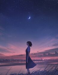 1girl absurdres black_hair black_socks city cloud commentary_request crescent_moon from_side grass highres medium_hair moon o-bana original pleated_skirt profile scenery school_uniform serafuku skirt sky socks solo standing star_(sky) starry_sky
