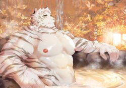 1boy abs animal_ears arknights bara claws closed_mouth commentary completely_nude furry furry_male highres jujurlyreckless looking_at_viewer male_focus mountain_(arknights) multiple_scars muscular muscular_male nipples nude onsen pectorals scar scar_on_arm scar_on_chest scar_on_hand scar_on_shoulder smile tiger_boy tiger_ears tiger_stripes wet