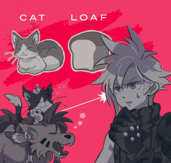 1boy animal animal_earrings animal_on_head armor beads black_fur boots bread cait_sith_(final_fantasy) cape cat cat_on_head cloud_strife coffinsmokes crown earrings english_text facial_mark feather_hair_ornament feathers final_fantasy final_fantasy_vii final_fantasy_vii_rebirth final_fantasy_vii_remake food gloves hair_beads hair_ornament hand_on_own_chin jewelry limited_palette loaf_of_bread mini_crown on_head parted_lips pink_background red_xiii short_hair shoulder_armor sidelocks single_bare_shoulder single_earring single_shoulder_pad sleeveless sleeveless_turtleneck spiked_hair suspenders sweatdrop turtleneck tuxedo_cat two-tone_fur upper_body white_fur white_gloves yawning