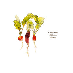 commentary cyannism english_commentary english_text food food_focus leaf no_humans original plant_roots radish simple_background vegetable white_background