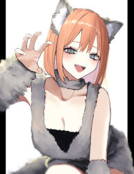 Rule 34 | 1girl, absurdres, alternate costume, black background, blue eyes, blush, breasts, cleavage, collar, collarbone, commentary, fur armlet, fur collar, fur shirt, go-toubun no hanayome, grey collar, grey shirt, hand up, highres, jun (30409972), leaning forward, looking at viewer, medium hair, nakano yotsuba, open mouth, orange hair, palms, shirt, sitting, solo, two-tone background, white background
