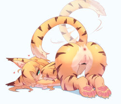 1girl absurdres ahoge animal_ear_fluff animal_ears anus ass ass_focus bar_censor blonde_hair blush censored claws completely_nude from_behind furry furry_female hands_on_ground heart heart_in_eye highres lalamedli mia_(world_flipper) motion_lines nose_blush nude on_ground pawpads presenting presenting_pussy pussy simple_background soles solo striped_fur symbol_in_eye tail tail_raised tail_wagging tiger_ears tiger_girl tiger_stripes tiger_tail top-down_bottom-up twitter_username white_background world_flipper yellow_fur