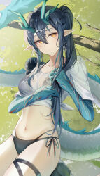 1girl absurdres alternate_costume alternate_hairstyle arknights bikini bitey_(arknights) black_bikini black_hair blush breasts closed_mouth commentary_request dot_mouth dragon_girl dragon_horns dusk_(arknights) green_hands green_horns hair_between_eyes hands_up highres horns long_hair looking_at_viewer medium_breasts navel ohagi_umeume orange_eyes outdoors pointy_ears ponytail see-through_clothes see-through_shirt shirt side-tie_bikini_bottom sidelocks solo stomach swimsuit thigh_strap tied_shirt tree wet wet_clothes wet_shirt white_shirt