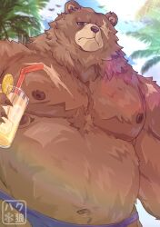 1boy animal_ears artist_name bara bare_pectorals bear_boy bear_ears belly ben_bigger biceps bird blue_male_swimwear blue_sky brown_fur closed_mouth cloud cloudy_sky coconut_tree commentary cup drinking_straw english_commentary fat furry furry_male ha0haku highres holding holding_cup lemonade looking_to_the_side male_focus male_swimwear navel nipples palm_tree pectorals plump scar scar_across_eye scar_on_face signature sky sliced_fruit topless_male tree zenless_zone_zero
