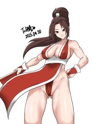 Rule 34 | 1girl, 2025, breasts, brown eyes, brown hair, cameltoe, dated, dress, fatal fury, japanese clothes, large breasts, long hair, looking at viewer, pale skin, panties, ponytail, shiranui mai, the king of fighters, thighs, tight clothes, underwear