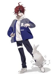 Rule 34 | 1boy, absurdres, ahoge, black hair, black pants, blue jacket, drawstring, full body, grey jacket, hair between eyes, highres, hood, hoodie, humping, jacket, long sleeves, male focus, messy hair, multicolored hair, multicolored jacket, open mouth, pants, rabbit, rabbit ears, rabbit tail, red hair, shoes, simple background, solo, solo focus, sumino takumi, sweatdrop, teeth, the hundred line -last defense academy-, tongue, white background, white hoodie, white shoes