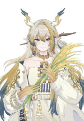 Rule 34 | 1girl, aqua eyes, arknights, beads, belt, blonde hair, blue hair, chinese commentary, closed mouth, collarbone, colored extremities, commentary request, dragon girl, dragon horns, earrings, grey belt, grey hair, grey jacket, grey tube top, hair between eyes, hair intakes, highres, holding, holding plant, horns, jacket, jewelry, light smile, long hair, long sleeves, looking at viewer, multicolored hair, necklace, off shoulder, plant, pointy ears, shu (arknights), simple background, solo, strapless, tube top, wheat, white background, xiangqian680