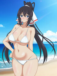1girl beach bikini black_hair blue_eyes blue_sky breasts cleavage cloud commentary_request cowboy_shot day hair_ribbon hata_(pixiv10403940) highres horizon infinite_stratos large_breasts long_hair looking_at_viewer ocean outdoors ponytail ribbon sarong shinonono_houki sky solo split_ponytail swimsuit white_bikini white_ribbon white_sarong