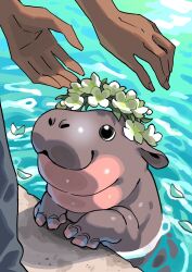 1other animal animal_focus baby_animal black_eyes boutarou_rx_78 flower head_wreath highres hippopotamus moo_deng nostrils partially_submerged petals petals_on_liquid pool real_life water white_flower