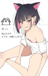 1girl animal_ears areola_slip back_hair blue_archive blunt_bangs blush breasts cat_ears cat_girl from_above grin highres kazusa_(blue_archive) looking_at_viewer multicolored_hair naked_shirt pink_eyes pink_hair shirt short_hair showtime775 simple_background sitting slit_pupils small_breasts smile solo sweat two-tone_hair white_background white_shirt