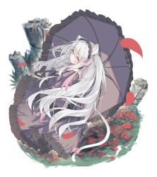 1girl animal_ears black_dress black_umbrella blush cat_ears cat_girl cat_tail commentary_request dress flower frilled_dress frills grey_eyes hairband highres holding holding_umbrella long_hair looking_at_viewer looking_up original petals pink_ribbon ribbon rose shiro_youduki smile solo tail two_side_up umbrella very_long_hair white_hair