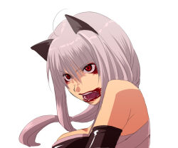 1girl animal_ears assassin_(ragnarok_online) bandages_over_clothes black_gloves blood blood_in_mouth breasts cat_ears commentary_request elbow_gloves eyeliner gloves grey_hair kataasa-ko long_hair looking_afar makeup medium_breasts mr.romance open_mouth ragnarok_online red_eyeliner red_eyes simple_background solo teeth upper_body v-shaped_eyebrows white_background