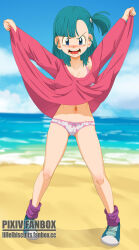 1girl annoyed aqua_hair arms_up beach blue_eyes blue_shoes blue_sky blush bra bra_strap breasts bulma cjhomics cleft_of_venus clothes_lift cloud collarbone day dot_nose dragon_ball dragon_ball_(classic) dress dress_lift embarrassed eyebrows eyelashes female_focus large_breasts legs_apart lifting_own_clothes long_hair looking_at_viewer multicolored_shoes navel ocean one_side_up open_mouth outdoors panties pink_bra pink_dress pink_panties pov purple_socks sand shoes sky sneakers socks solo standing teeth tongue two-tone_panties two-tone_shoes underwear water white_panties white_shoes