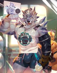 2boys bara biceps blue_eyes bottle bulge chest_tuft claws cowboy_shot digimon dog_tags dumbbell earrings english_text exercising fangs flexing furry furry_male gym gym_shorts heart holding holding_bottle holding_dumbbell jewelry large_bulge large_pectorals leomon looking_to_the_side male_focus multiple_boys muscular muscular_male null-ghost one_eye_closed pectorals scar scar_across_eye scar_on_face shorts skull_print solo_focus spoken_heart tank_top weightlifting weights weregarurumon yellow_eyes