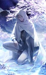 1boy artist_request black_coat black_shawl boots cloak closed_mouth coat dress_pants earrings elf expressionless fringe_trim full_body game_cg grey_boots grey_eyes grey_hair grey_pants hair_between_eyes hand_on_own_thigh highres hood hood_up hooded_cloak ice jewelry light_particles lips long_sleeves male_focus mercury_(shining_nikki) mountain night night_sky nikki_(series) official_art on_one_knee outdoors pants pointy_ears shawl shining_nikki short_hair sky sleeves_past_wrists solo third-party_source tree white_cloak winter