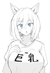 Rule 34 | 1girl, alternate costume, animal ears, blue eyes, breasts, chestnut mouth, collarbone, commentary request, eishin flash (umamusume), hair between eyes, highres, horse ears, horse girl, large breasts, miya nns35, open mouth, shirt, short hair, solo, spot color, translation request, umamusume, upper body