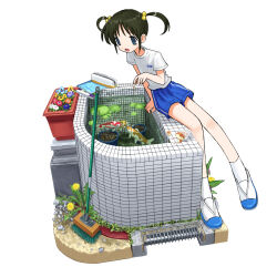 1girl :d anbiyori black_hair blue_eyes blue_shorts book bread_bun broom choppy_bangs dandelion feeding_animal fish_tank flower gym_uniform hair_bobbles hair_ornament highres koi leaning_to_the_side lily_pad open_mouth original pencil_case plant potted_plant raised_pond rubble shirt shoes short_twintails shorts simple_background sitting smile socks solo street_gutter t-shirt tiles twintails uwabaki white_background white_shirt white_socks