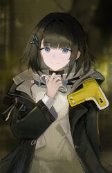 1girl absurdres arknights arknights:_endfield black_coat black_hair blue_eyes blunt_bangs coat ema_(kuguiema) endministrator_(arknights) female_endministrator_(arknights) highres long_sleeves looking_at_viewer medium_hair open_clothes open_coat smile solo sweater upper_body white_sweater