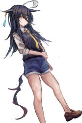 1girl ahoge animal_ears black_hair blue_shorts blue_sweater blush closed_mouth collared_shirt ear_tag earrings grey_shirt hair_between_eyes horse_ears horse_girl horse_tail jewelry long_bangs long_hair long_hair_between_eyes long_sleeves looking_at_viewer manhattan_cafe_(umamusume) multicolored_hair necktie shirt shorts simple_background single_earring solo sweater sweater_vest tail umamusume white_background white_hair yanagi_wakana yellow_eyes yellow_necktie