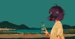 1girl ahoge arm_at_side artdroiiid_ii blue_sky blunt_bangs blunt_ends bob_cut bottle commentary day english_commentary facing_away from_side hand_up hill holding holding_bottle lake mountainous_horizon original outdoors purple_hair scenery shirt short_sleeves sky solo standing string string_around_wrist string_of_fate sunlight town tree upper_body variant_set water_bottle white_shirt