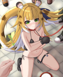 1girl absurdres animal_ears azunyart bikini black_bikini black_shoes blue_bow blush bow breasts closed_mouth collar cum cum_in_bowl cum_in_container embarrassed highres humiliation ju_fufu kneeling leash looking_at_viewer micro_bikini o-ring o-ring_thigh_strap pet_play red_collar shoes side-tie_bikini_bottom small_breasts solo swimsuit tail tail_bow tail_ornament thigh_strap tiger_ears tiger_girl tiger_tail viewer_holding_leash yellow_shoes zenless_zone_zero