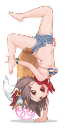 1girl :d absurdres animal_ear_fluff animal_ears barefoot batazungharn bikini bikini_under_clothes blue_archive blue_bikini blue_shorts breasts brown_hair denim denim_shorts extra_ears fang flower fox_ears fox_girl fox_tail full_body hair_flower hair_ornament halo handstand highleg highleg_bikini highres izuna_(blue_archive) izuna_(swimsuit)_(blue_archive) micro_shorts navel official_alternate_costume one_arm_handstand open_fly open_mouth pink_halo red_scarf scarf short_hair shorts simple_background small_breasts smile solo striped_bikini striped_clothes swimsuit tail toes upside-down white_background yellow_eyes